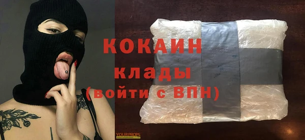 spice Бородино