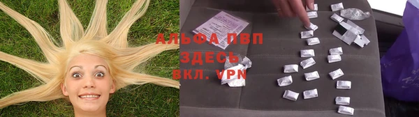 spice Бородино