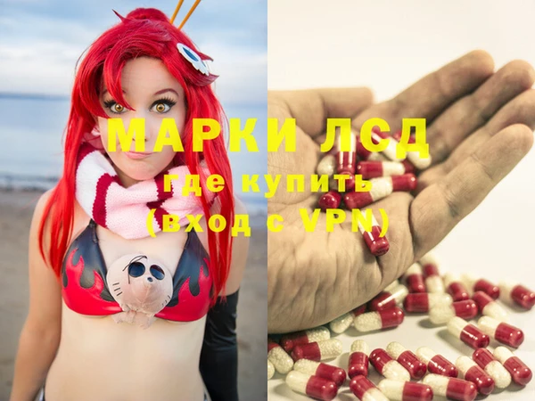 spice Бородино