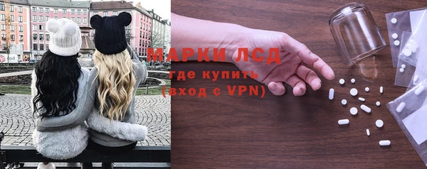 spice Бородино