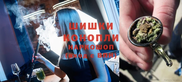 spice Бородино