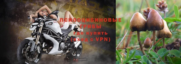 spice Бородино