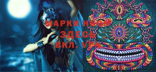 гашик Сясьстрой