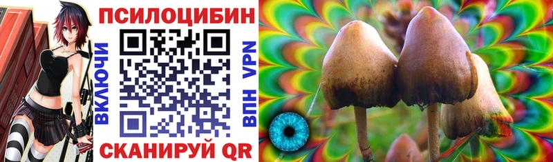 Галлюциногенные грибы мухоморы  Купить  Пионерский 