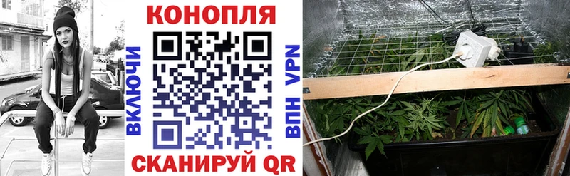 Купить закладки  Пионерский  Марихуана LSD WEED 